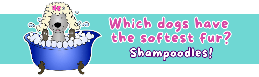 Funny jokes for 6-year-olds: 'Shampoodles' Joke