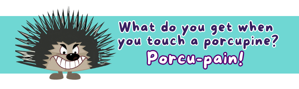 Jokes for 9-year-olds: 'Porcu-pain' Joke
