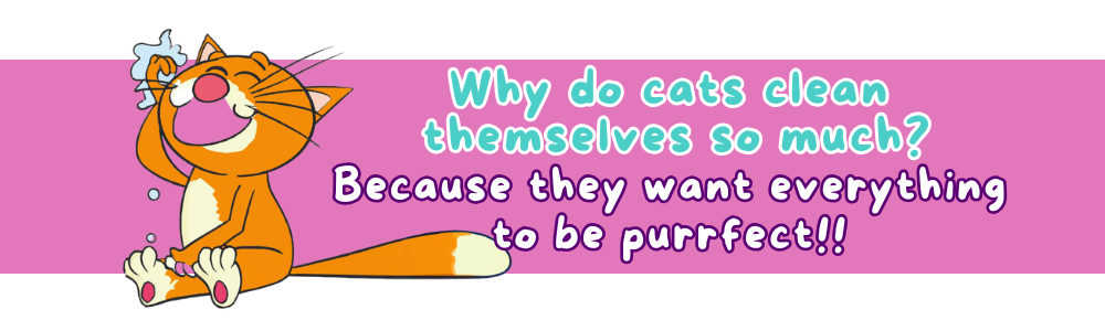 Silly jokes for 7-year-olds: 'Purrrfect' Joke