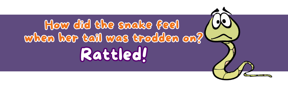 Jokes for 9-year-olds: 'Rattled' Joke